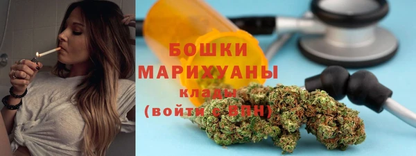 стаф Аркадак