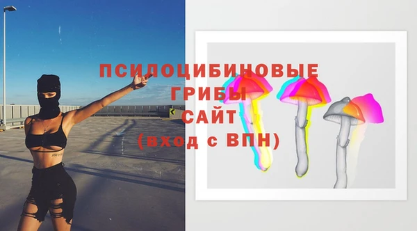каннабис Арсеньев