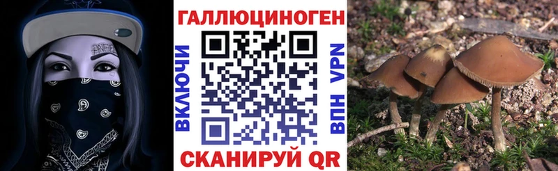 Галлюциногенные грибы MAGIC MUSHROOMS  дарнет шоп  Медногорск 