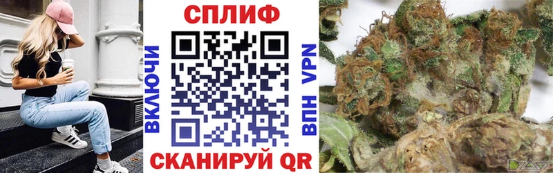 Шишки марихуана сатива  Медногорск 